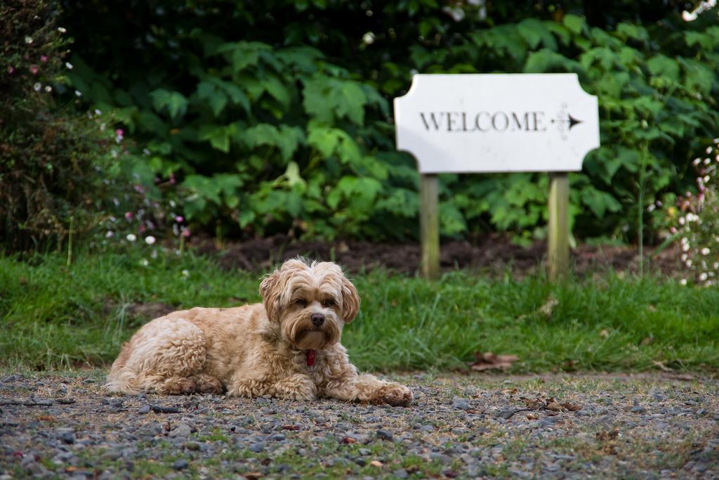 Ugbrooke Country Estate 호텔 Lower Dashwood 외부 사진